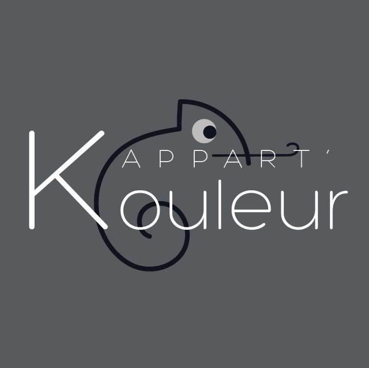 L'appart K-OULEUR- Wifi Fibre-Checkin auto- 2 pers Le Mans Esterno foto